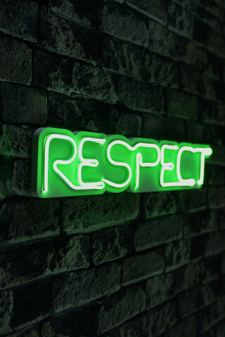 Decoratiune luminoasa LED, Respect, Benzi flexibile de neon, DC 12 V, Verde