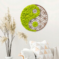 Decoratiune de perete, Yin Yang, 100% MDF/MOSS (grosime: 9 mm), Dimensiune: 44 x 1 x 44 cm, Verde/Maro