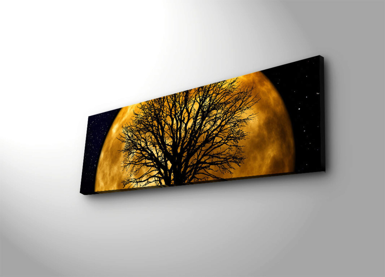 Tablou decorativ cu lumina LED, 3090DACT-71, Canvas, 30 x 90 cm, Multicolor - 1 | YEO