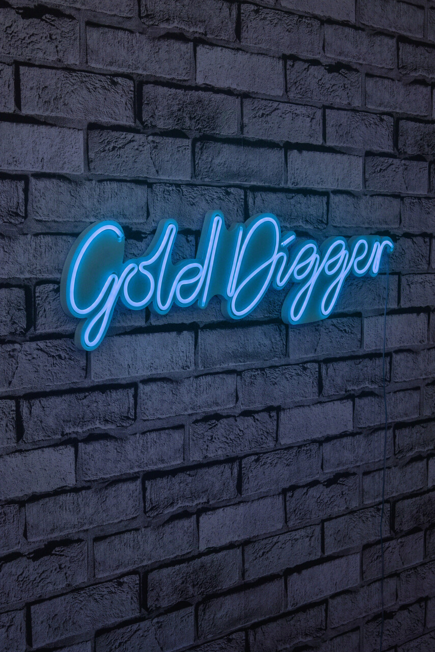 Decoratiune luminoasa LED, Gold Digger, Benzi flexibile de neon, DC 12 V, Albastru