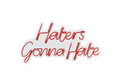 Decoratiune luminoasa LED, Haters Gonna Hate, Benzi flexibile de neon, DC 12 V, Rosu